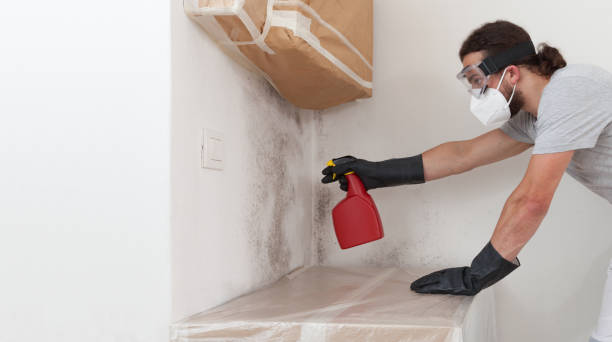 Professional Mold Remediation technician working in Malden, MA